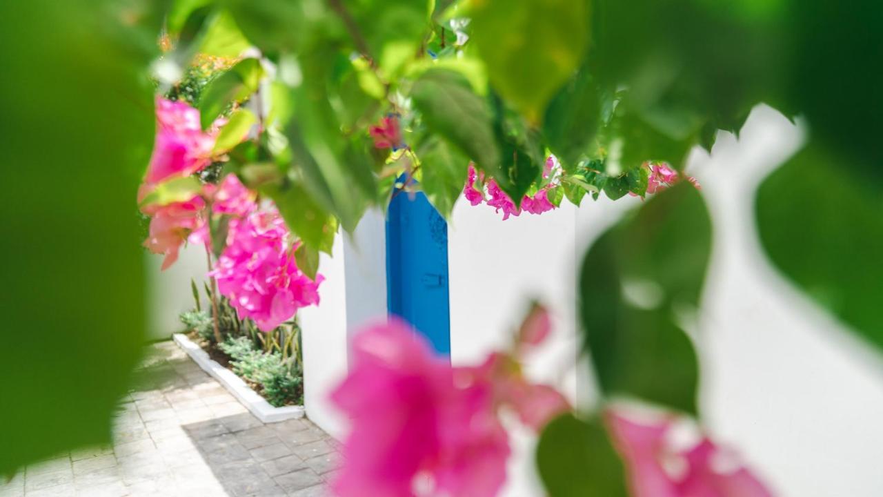 Villa Diola 3 Canggu Zewnętrze zdjęcie