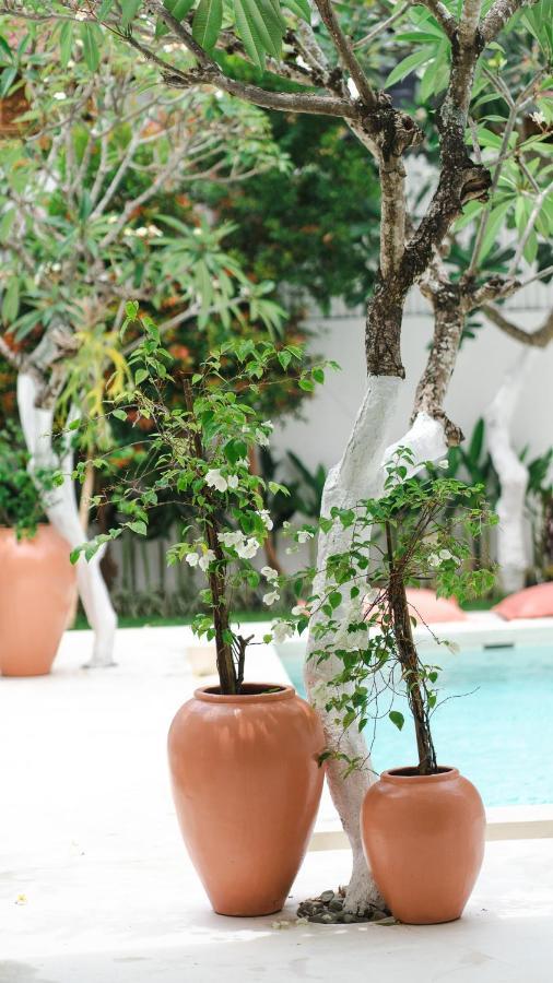 Villa Diola 3 Canggu Zewnętrze zdjęcie